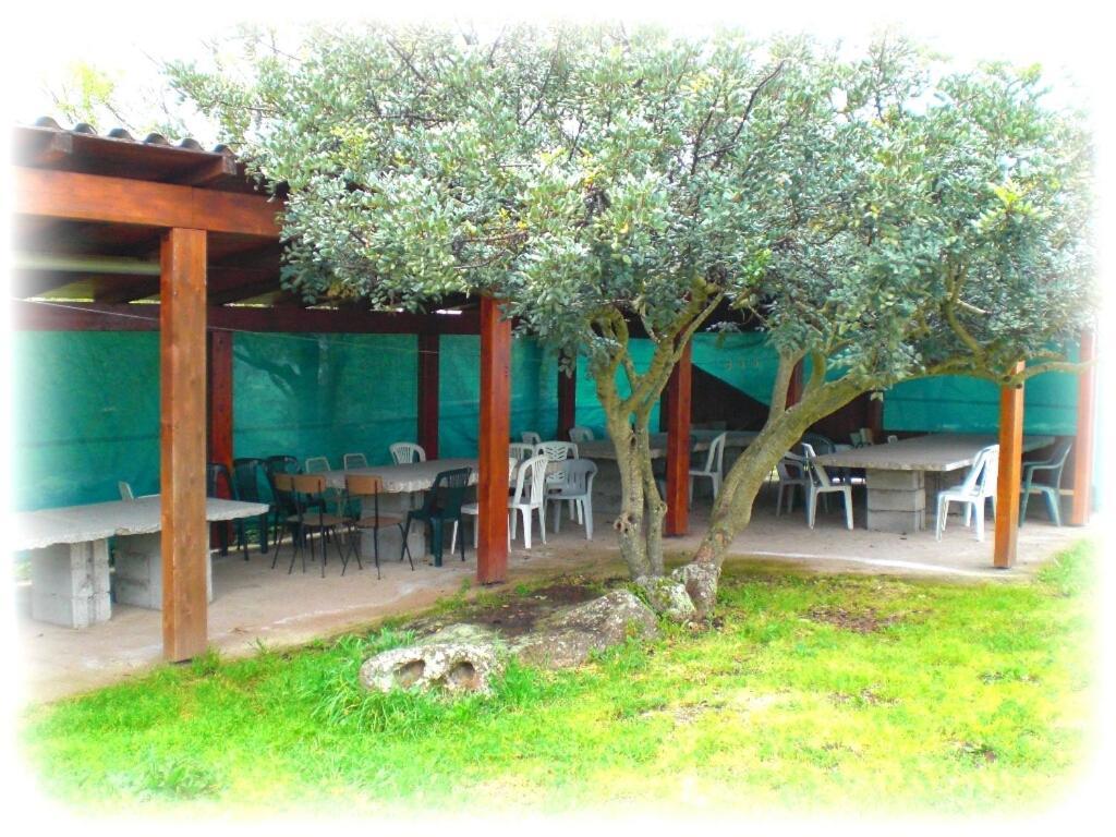 Agriturismo Pentuma Chiaramonti Экстерьер фото