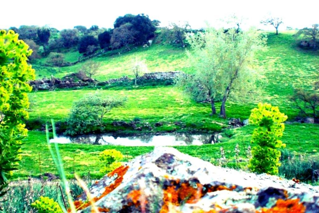 Agriturismo Pentuma Chiaramonti Экстерьер фото