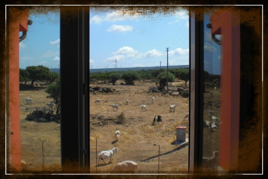 Agriturismo Pentuma Chiaramonti Номер фото